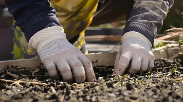 Ce modèle de gants m’a fait oublier tous les gants de jardinage traditionnels