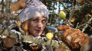 Ces plantes doivent absolument être taillées dès maintenant : en mars, il sera trop tard