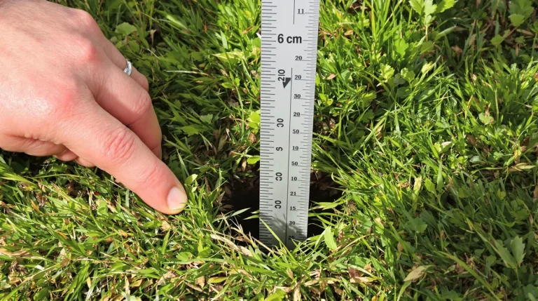 La tonte que tout le monde oublie avant le redoux, celle qui sublime vraiment la pelouse au printemps