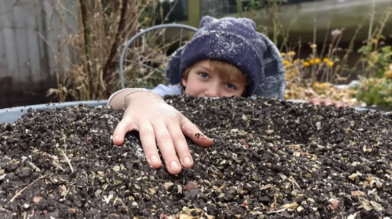 Le timing parfait pour les planter : ces fleurs reviennent chaque année et attirent les oiseaux