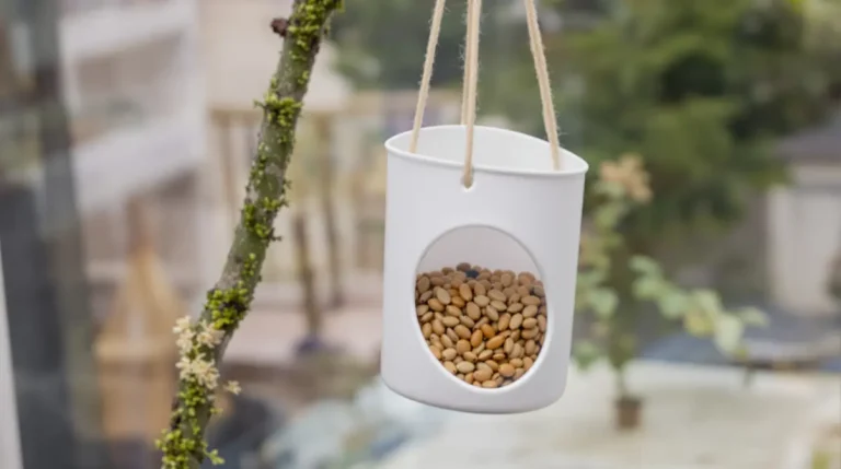 Ne jetez plus ce pot en plastique : les oiseaux en raffolent en hiver !