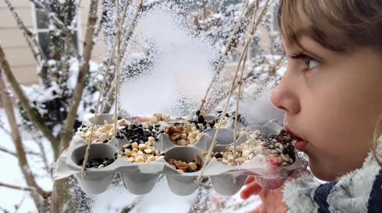 Ne jetez plus vos vieilles boîtes d’œufs : elles sont très utiles au jardin pour nourrir et attirer les oiseaux tout l’hiver