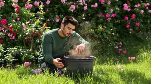 Pourquoi les jardiniers saupoudrent désormais du café sur les mangeoires à oiseaux